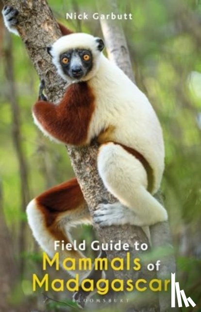 Garbutt, Nick - Field Guide to Mammals of Madagascar