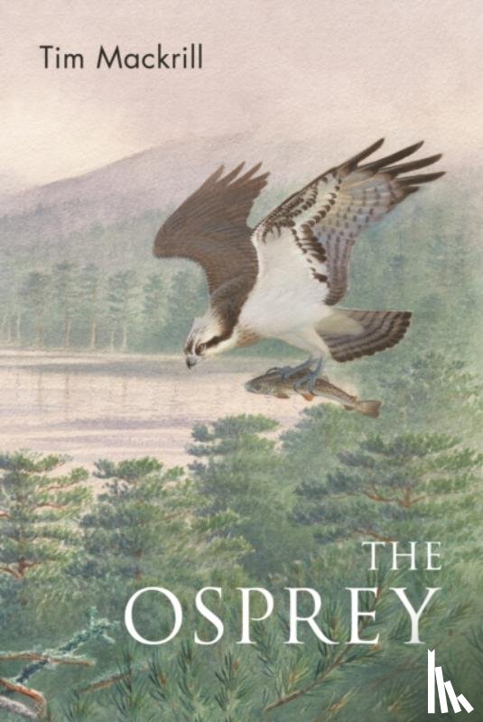 Mackrill, Tim (Author) - The Osprey