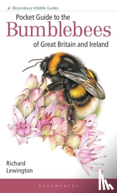 Lewington, Richard - Pocket Guide to the Bumblebees of Great Britain and Ireland