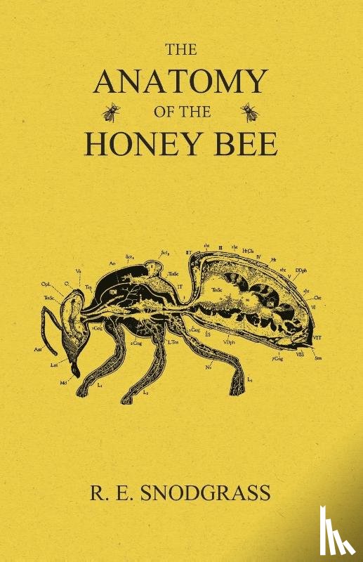 Snodgrass, R E - The Anatomy of the Honey Bee