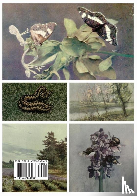 Thomas, Edward - British Country Life in Spring and Summer