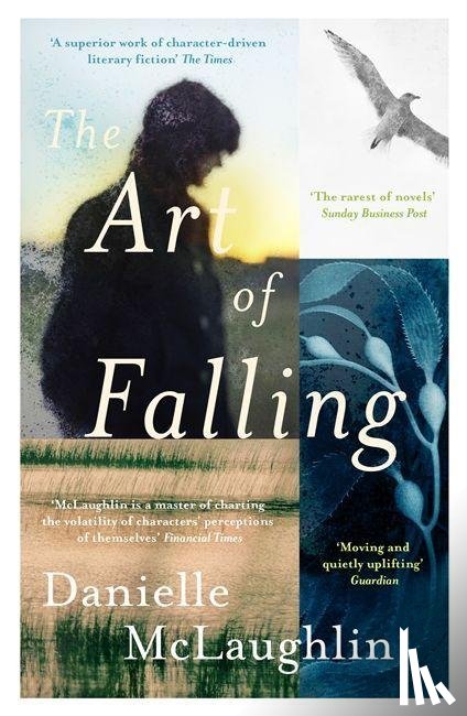McLaughlin, Danielle - The Art of Falling