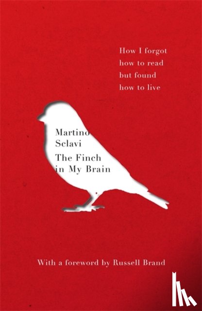 Sclavi, Martino - The Finch in My Brain