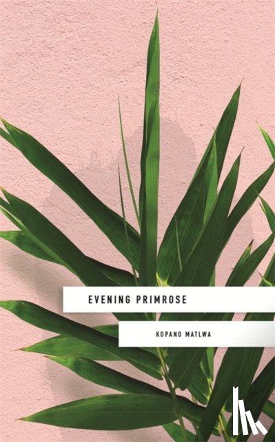 Kopano Matlwa - Evening Primrose: a heart-wrenching novel for our times