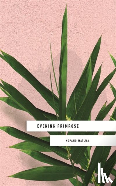 Matlwa, Kopano - Evening Primrose: a heart-wrenching novel for our times