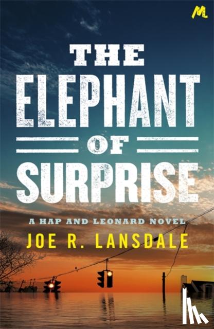 Lansdale, Joe R. - The Elephant of Surprise