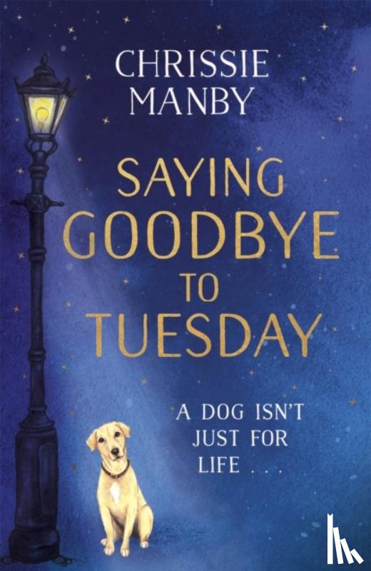 Manby, Chrissie - Saying Goodbye to Tuesday