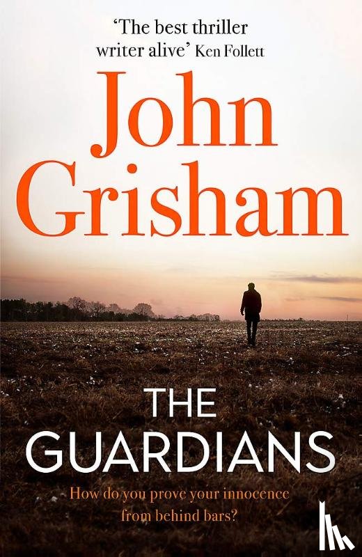 Grisham, John - The Guardians