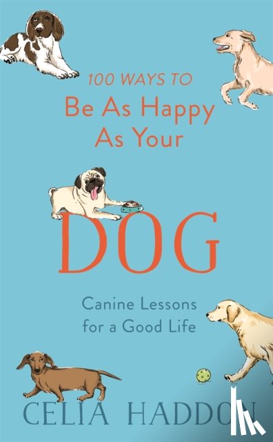 Haddon, Celia - 100 Ways to Be As Happy As Your Dog