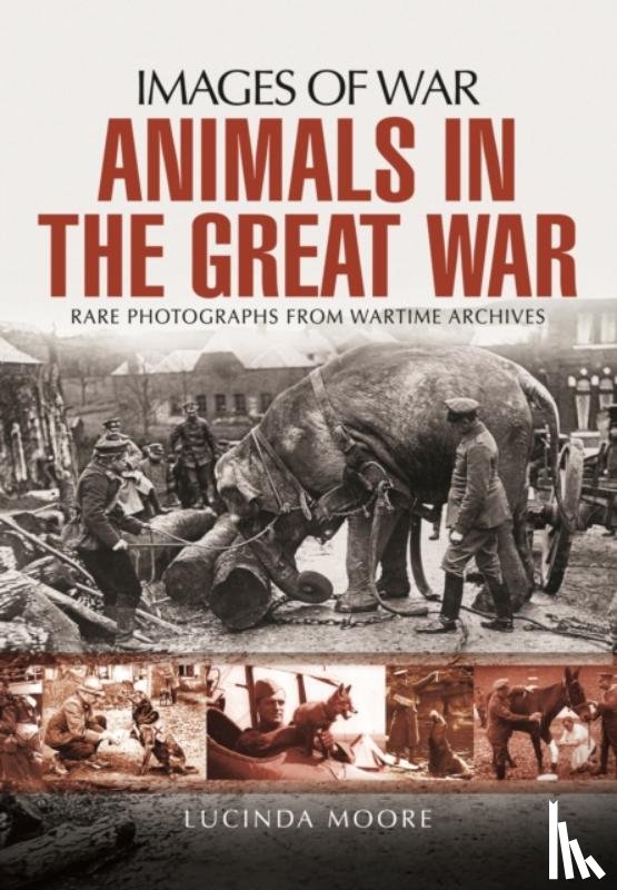 Moore, Lucinda - Animals in the Great War