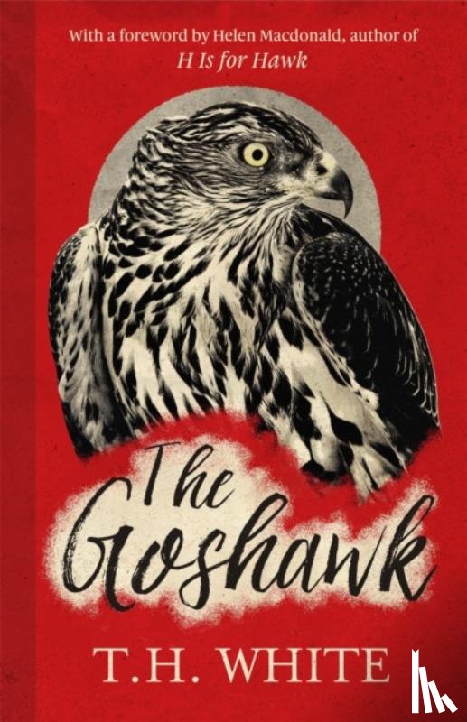 White, T. H. - The Goshawk