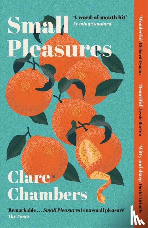 Chambers, Clare - Small Pleasures