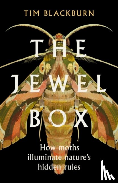 Blackburn, Tim - The Jewel Box