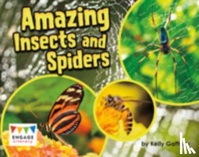 Gaffney, Kelly - Amazing Insects and Spiders