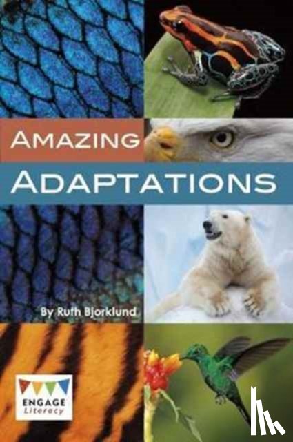 Bjorklund, Ruth - Animal Adaptations