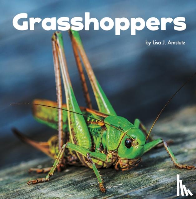 Amstutz, Lisa J. - Grasshoppers