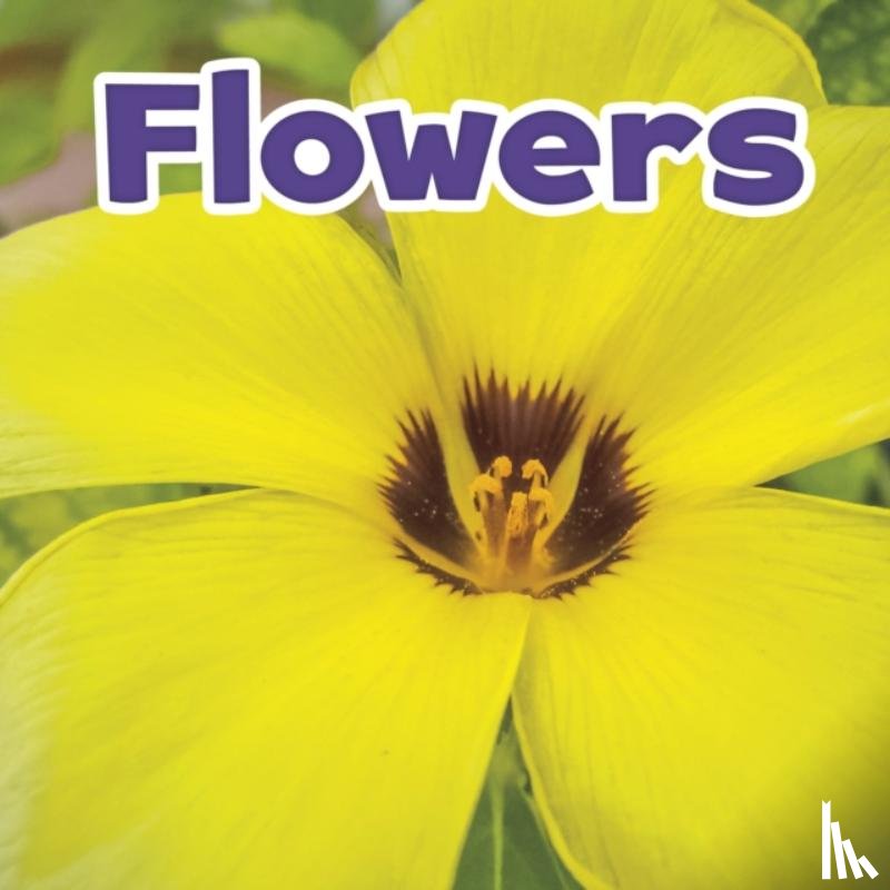 Kirkman, Marissa (Product Manager) - Flowers