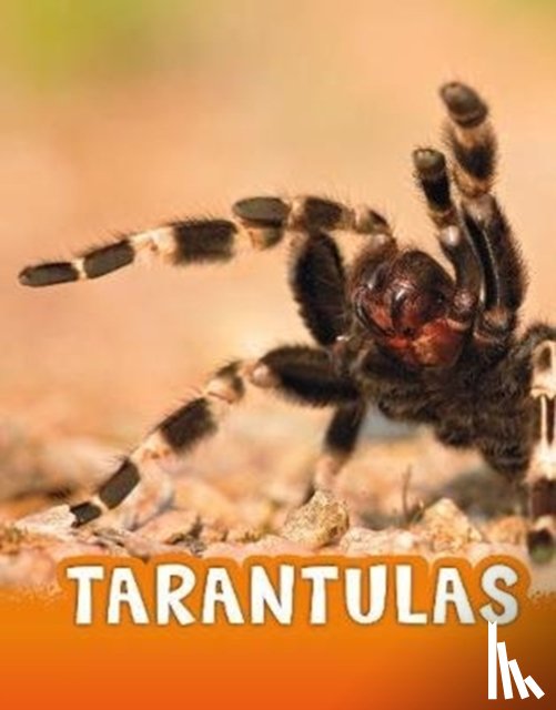 Jaycox, Jaclyn - Tarantulas