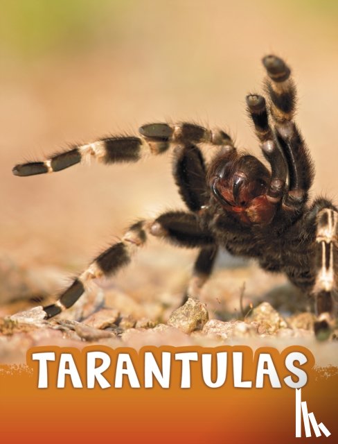 Jaycox, Jaclyn - Tarantulas