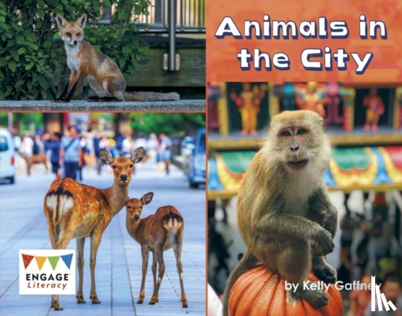 Gaffney, Kelly - Animals in the City