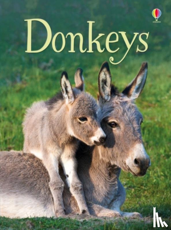 Maclaine, James - Donkeys