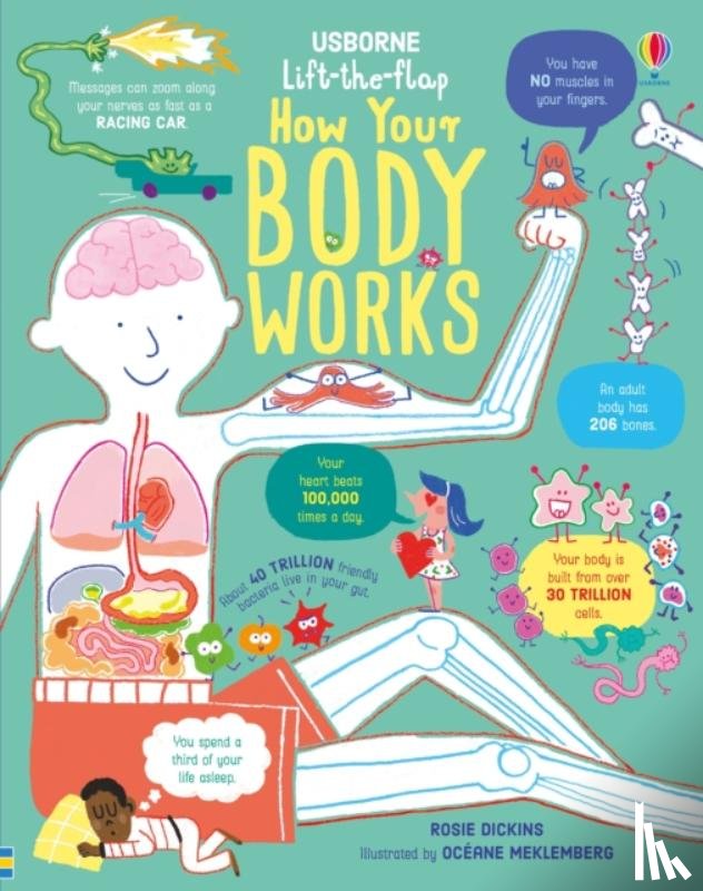 Dickins, Rosie - Lift-the-Flap How Your Body Works