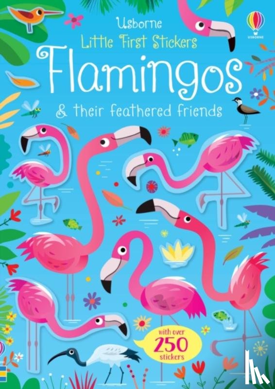 Robson, Kirsteen - Little First Stickers Flamingos