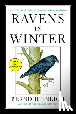 Heinrich, Bernd - Ravens in Winter