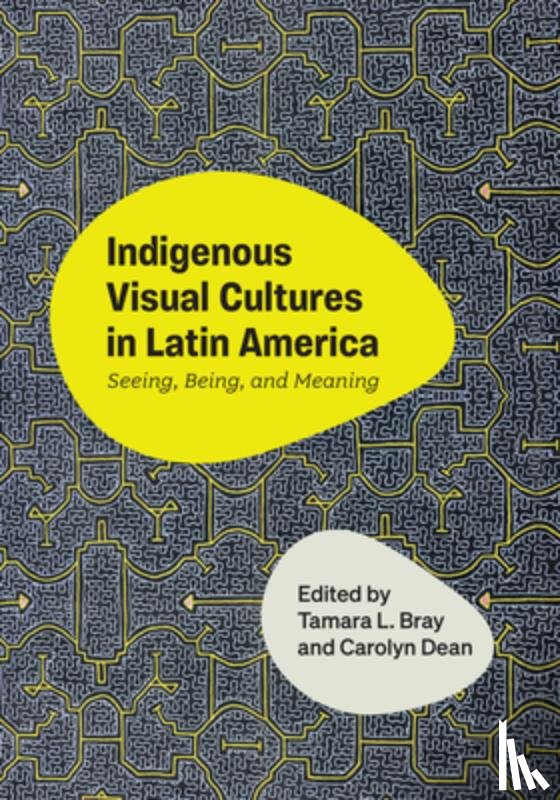 - Indigenous Visual Cultures in Latin America
