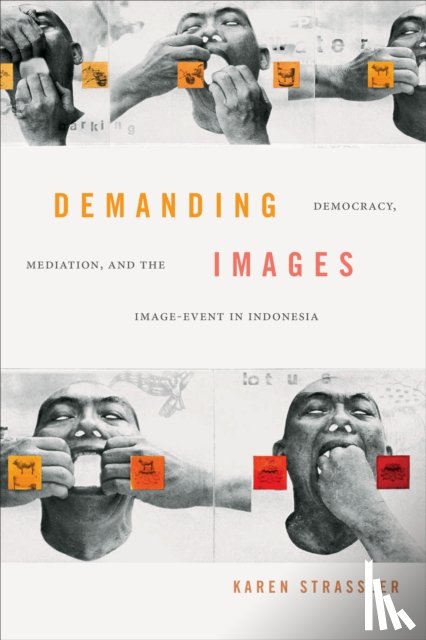 Strassler, Karen - Demanding Images