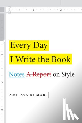 Kumar, Amitava - Every Day I Write the Book