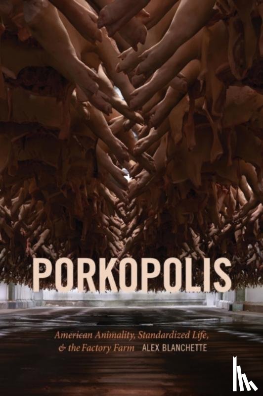 Blanchette, Alex - Porkopolis
