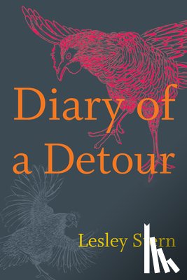 Stern, Lesley - Diary of a Detour