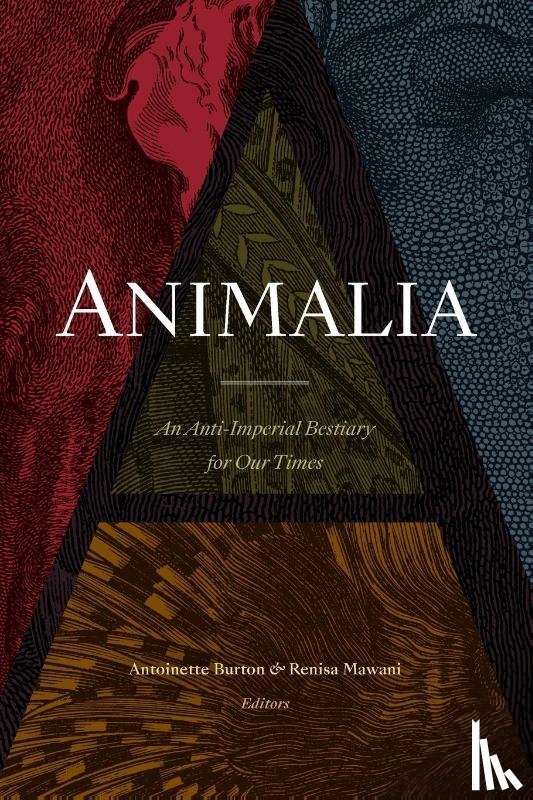  - Animalia