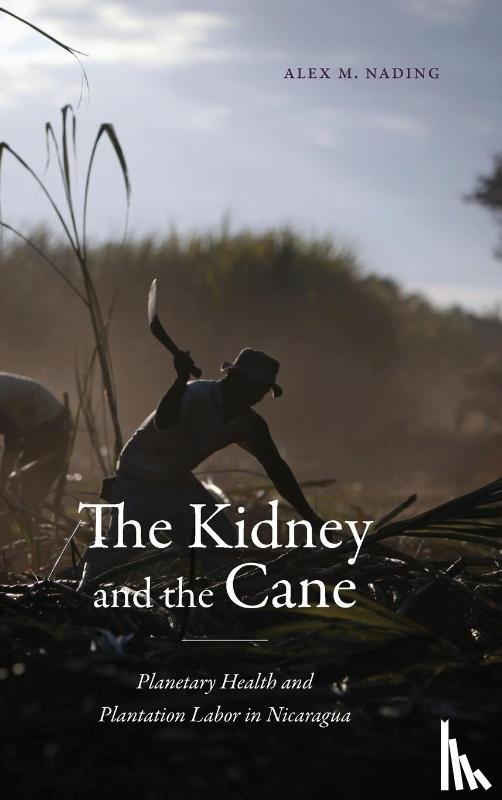 Nading, Alex M. - The Kidney and the Cane