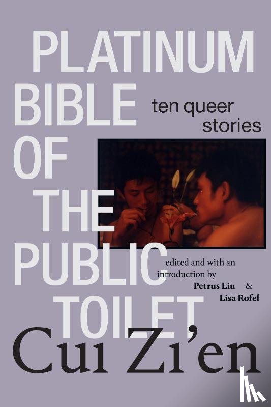 Cui, Zi'en - Platinum Bible of the Public Toilet