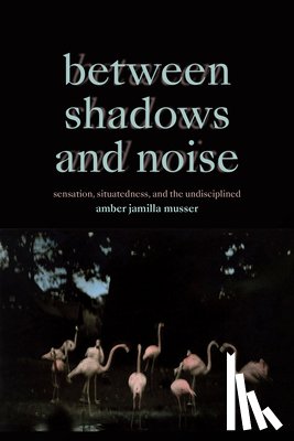 Musser, Amber Jamilla - Between Shadows and Noise
