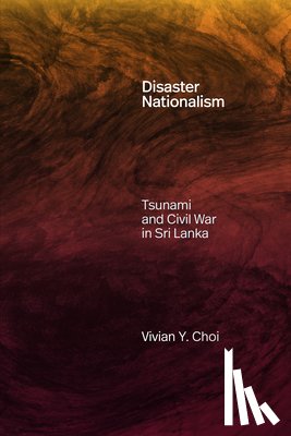 Choi, Vivian Y. - Disaster Nationalism
