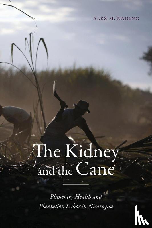 Nading, Alex M. - The Kidney and the Cane