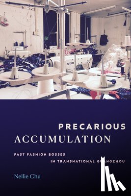 Chu, Nellie - Precarious Accumulation