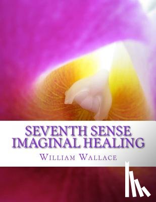 Wallace, William - Seventh Sense Imaginal Healing: An homage to Dr. Richard Bartlett, Benjamin Bibb, Barbara Ann Brennan, Donna Eden, Dr. Meg Blackburn Losey, Dr. Gerald