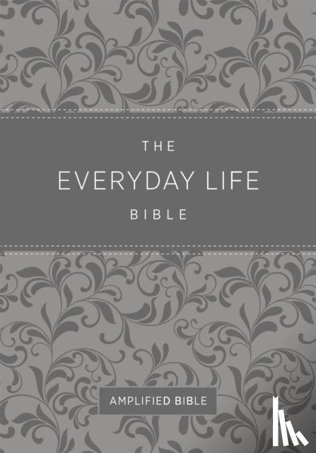 Meyer, Joyce - Everyday Life Bible (Fashion Edition: Gray Imitation Leather)