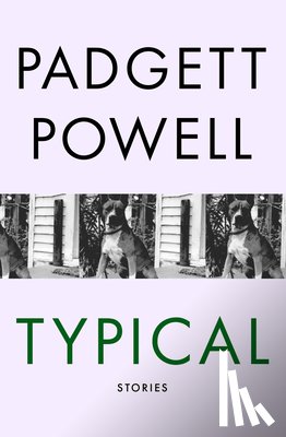 Powell, Padgett - Typical