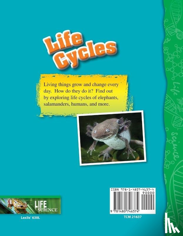Conklin, Wendy - Life Cycles