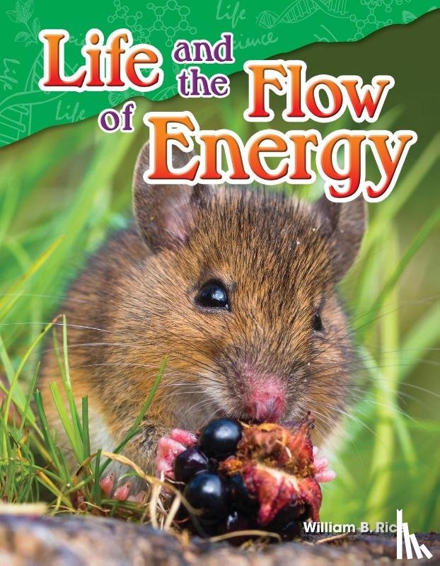 Rice, William - Life and the Flow of Energy