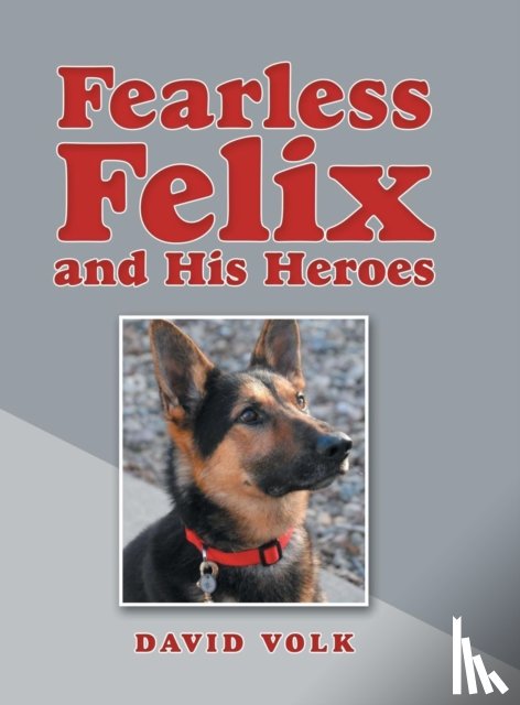 Volk, David - Fearless Felix and His Heroes