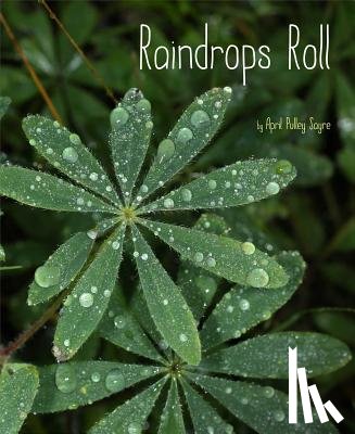 Sayre, April Pulley - RAINDROPS ROLL