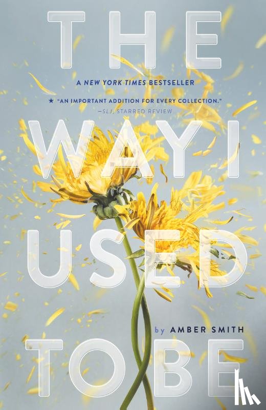 Smith, Amber - The Way I Used to Be