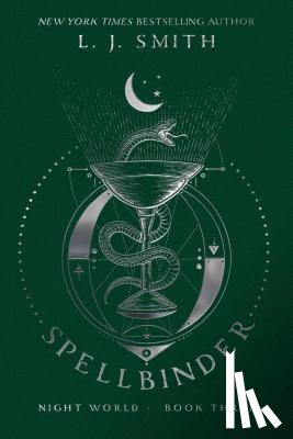 Smith, L. J. - Spellbinder