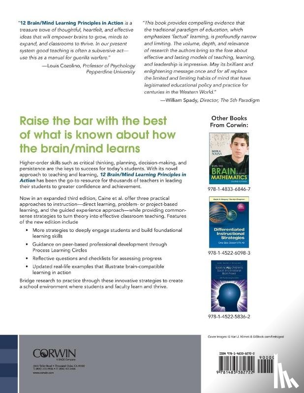 Caine, Renate Nummela, Caine, Geoffrey, McClintic, Carol Lynn, Klimek, Karl J. - 12 Brain/Mind Learning Principles in Action